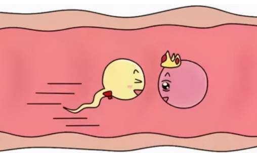子宫没有孕囊的原因汇总，宫内未见孕囊可能和这四点有关
